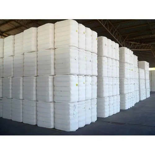 Cotton Bale 170kg of each Bales 