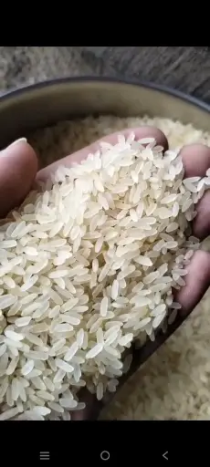 IR64 PARBOILED RICE 5% BROKEN (minimum order 26 ton )